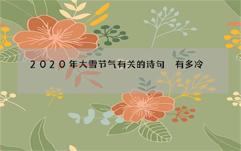 2020年大雪节气有关的诗句 有多冷